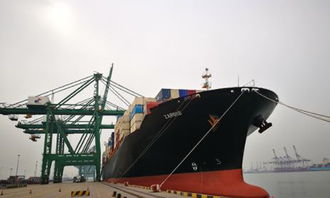 转卖：联系其他印度买家，尽快将货物转卖。