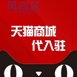 二、天猫入驻初审不同过的原因及调整策略