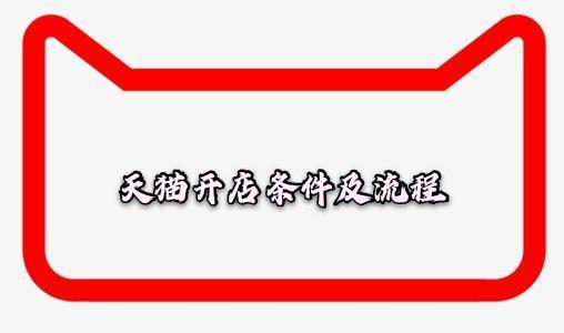 一、 天猫入驻条件