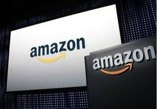 亚马逊物流配送的多样选择