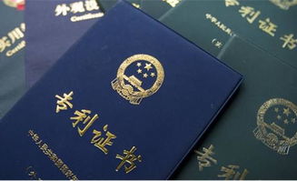 审查程序：决定专利命运的基石