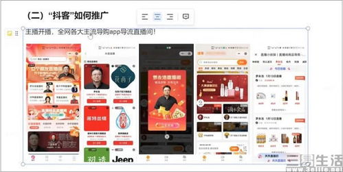 一、 定义与适用范围