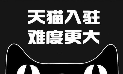 天猫食品专营店的促销策略