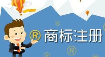 （一）前期准备阶段