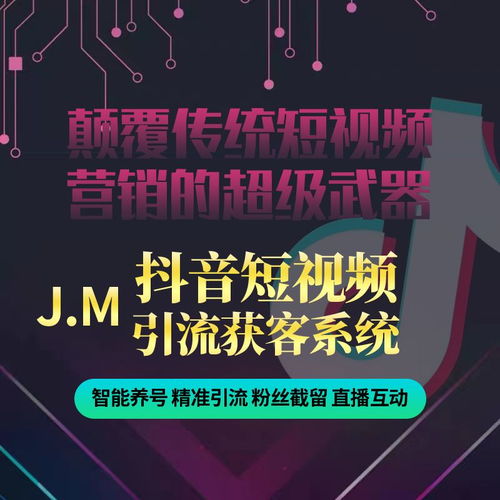 三、 付费引流的优势与局限性