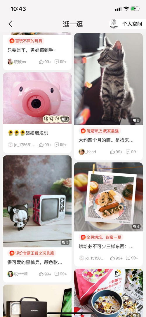 京东种草官的申请方法详解