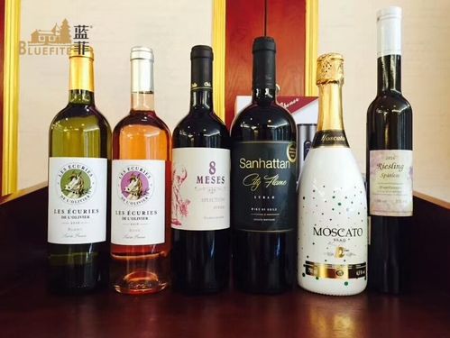 六、 开展销售活动：多元渠道，推广宣传