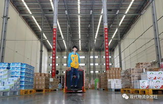 跨境电商卖家在物流模式选择上常面临核心矛盾：外包给第三方物流（3PL）还是自建物流体系？