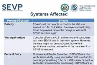 “知悉合规”管理与海关与进口商的责任共担