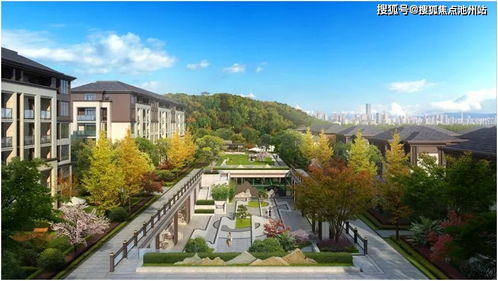 依托区域网络， 实现48小时快速转运