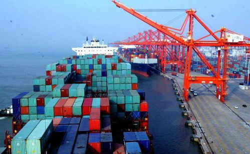 二、 海运卡派的具体操作流程