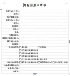 2. 形式审查阶段