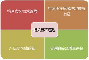 三、新品标签：把握流量扶持机遇