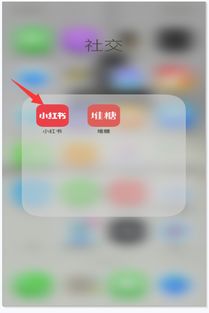 互动频率：友谊的活力源泉