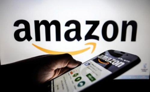 二、 入驻亚马逊全托管服务所需满足的条件