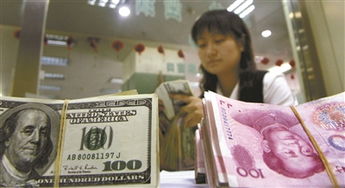 5. 国家外汇管理局官方网站查询