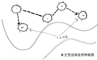 4. 主图的商品位置与视角