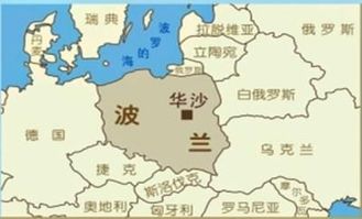 物流解决方案与区域深耕战略