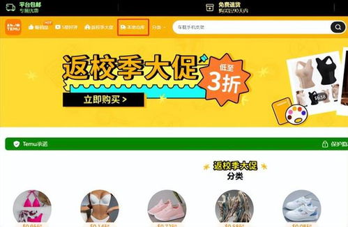 二、 Temu官网入口详解