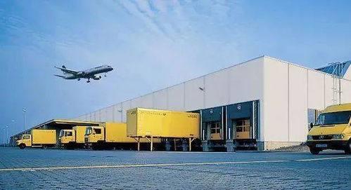 高效的物流体系与市场机遇