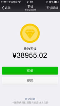 一、 拼多多微信零钱概述