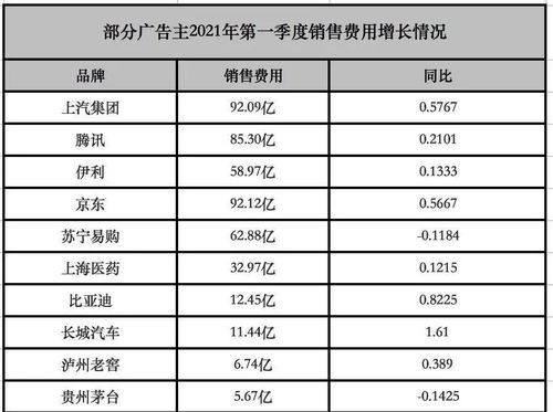 广告预算与自然流量的微妙平衡