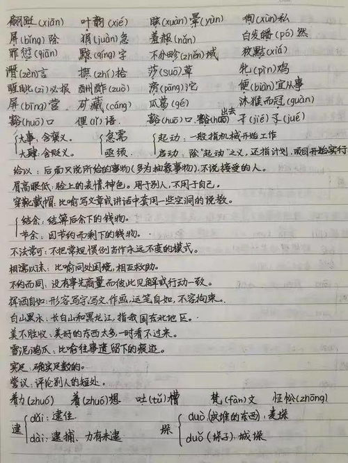 1. 投放前的准备
