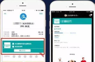 一、什么是“黑支付宝”？