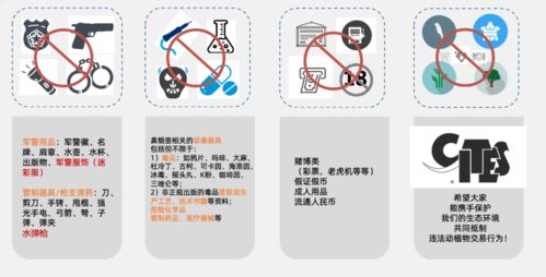 应对策略与申诉