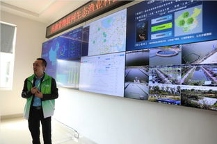 图片在Ozon平台上的重要性