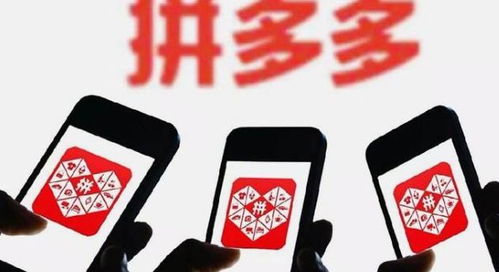 购物建议：选择旗舰店，警惕低价商品