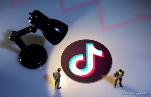 六、 入驻流程的具体步骤