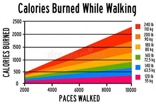 CE认证的具体要求及重要性