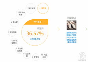 一、 淘宝无线推广王：概述与重要性