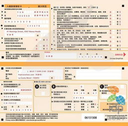 海关申报注意事项