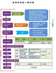 三、 提交复审申请的具体步骤