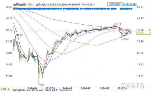 产品创新与升级：市场需求的引领者