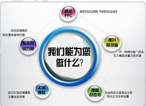 1. 投入时间和精力