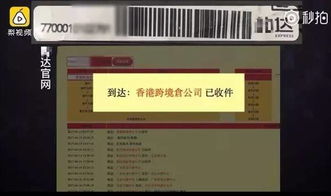 仿牌商品流通的扰乱与监管