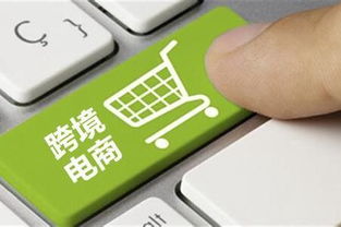 视频质量与市场热门视频制作软件的类型