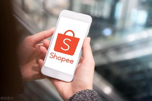 Shopee店铺被封的常见原因分析