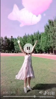 3. 拍摄角度与技巧