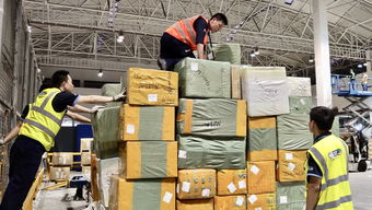 四、 资源配置与成本结构