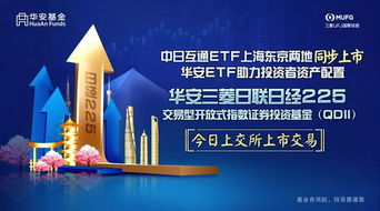 入驻未来科技城，成功新三板上市