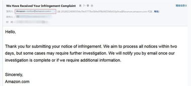 处理专利侵权投诉的步骤