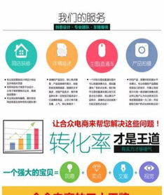 二、 主要作用与策略