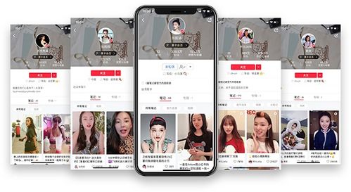 五、直播付费推广策略解析