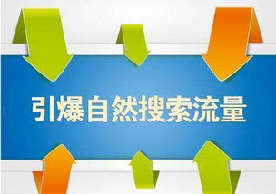 一、 商品基础提升：确保商品质量与营销策略的完美结合