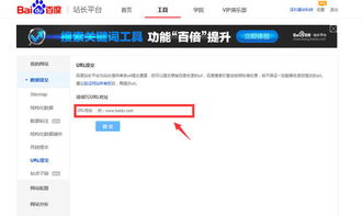 二、 掌握正确的搜索方法，轻松找到特定店铺