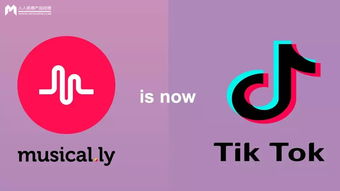 5.2 成功案例拆解